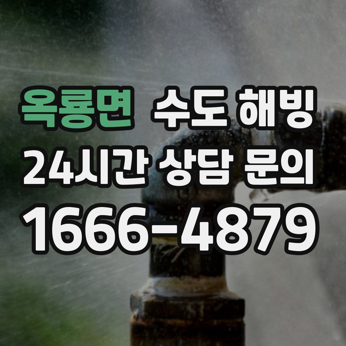 옥룡면 수도 해빙