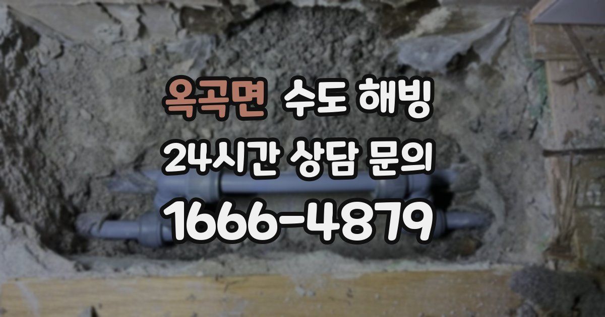 옥곡면 수도 해빙