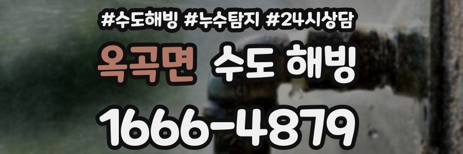 옥곡면 수도 해빙