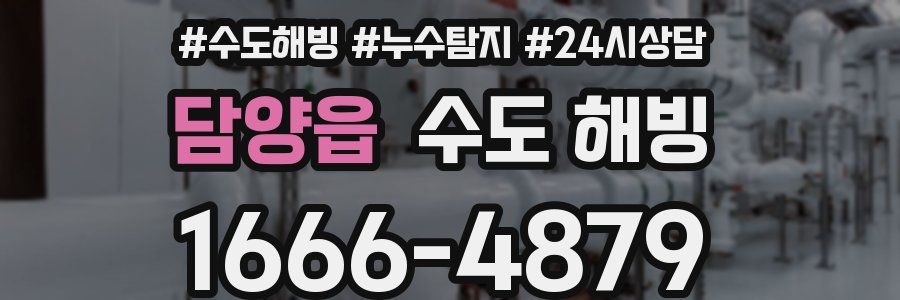 담양읍 수도 해빙