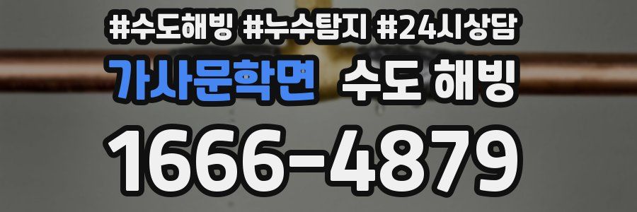 가사문학면 수도 해빙