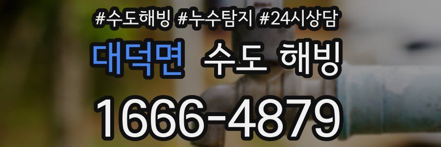대덕면 수도 해빙