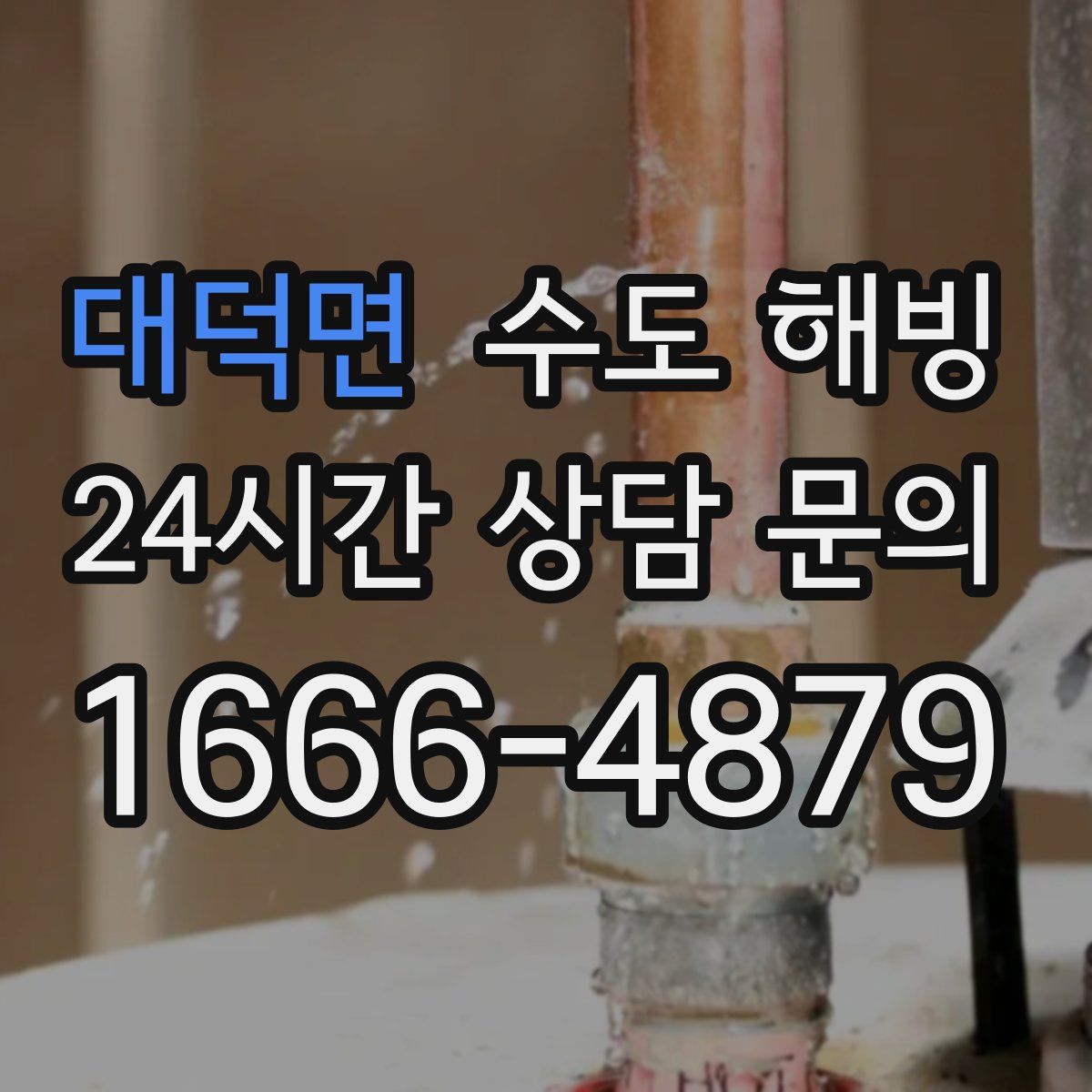 대덕면 수도 해빙