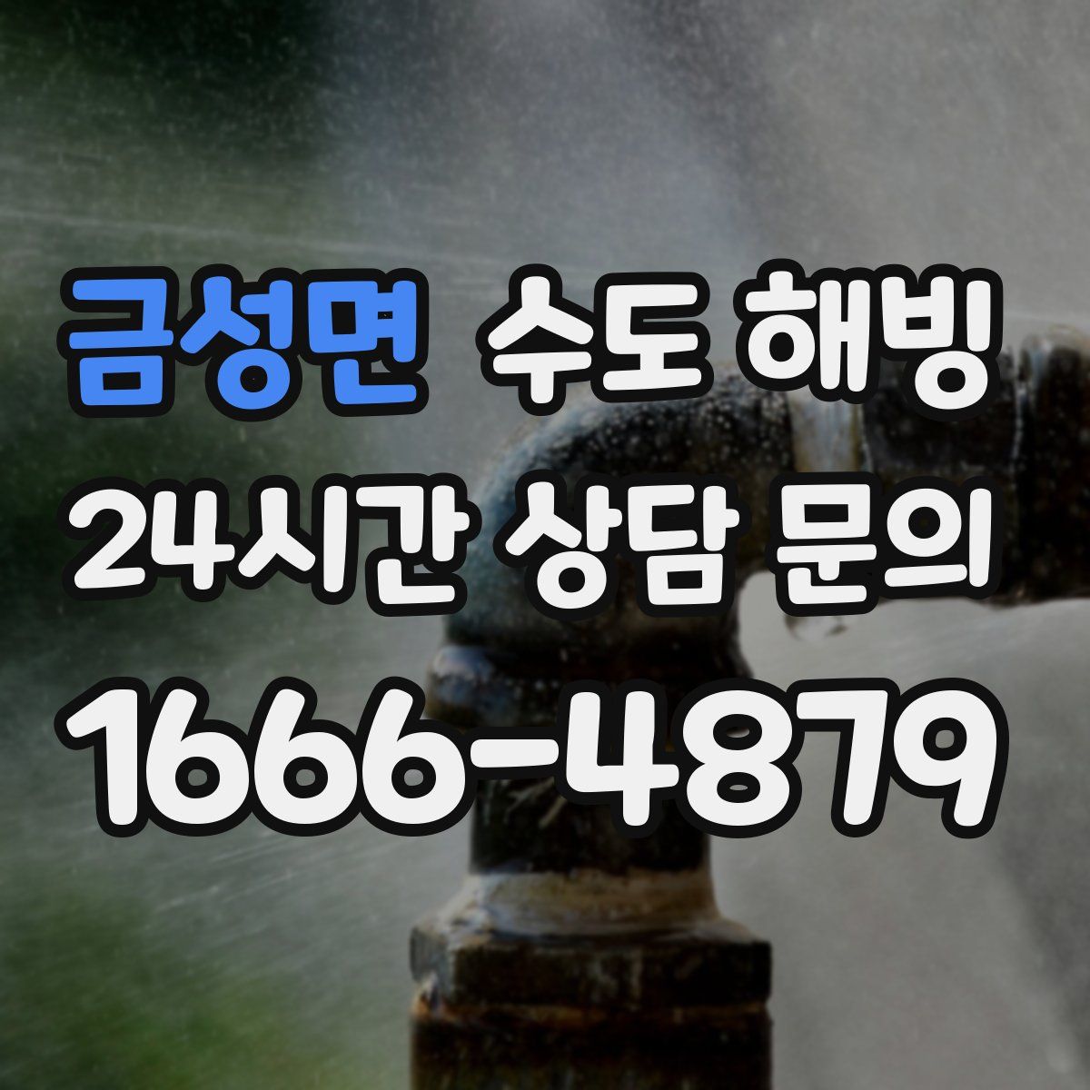 금성면 수도 해빙