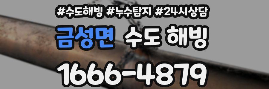 금성면 수도 해빙