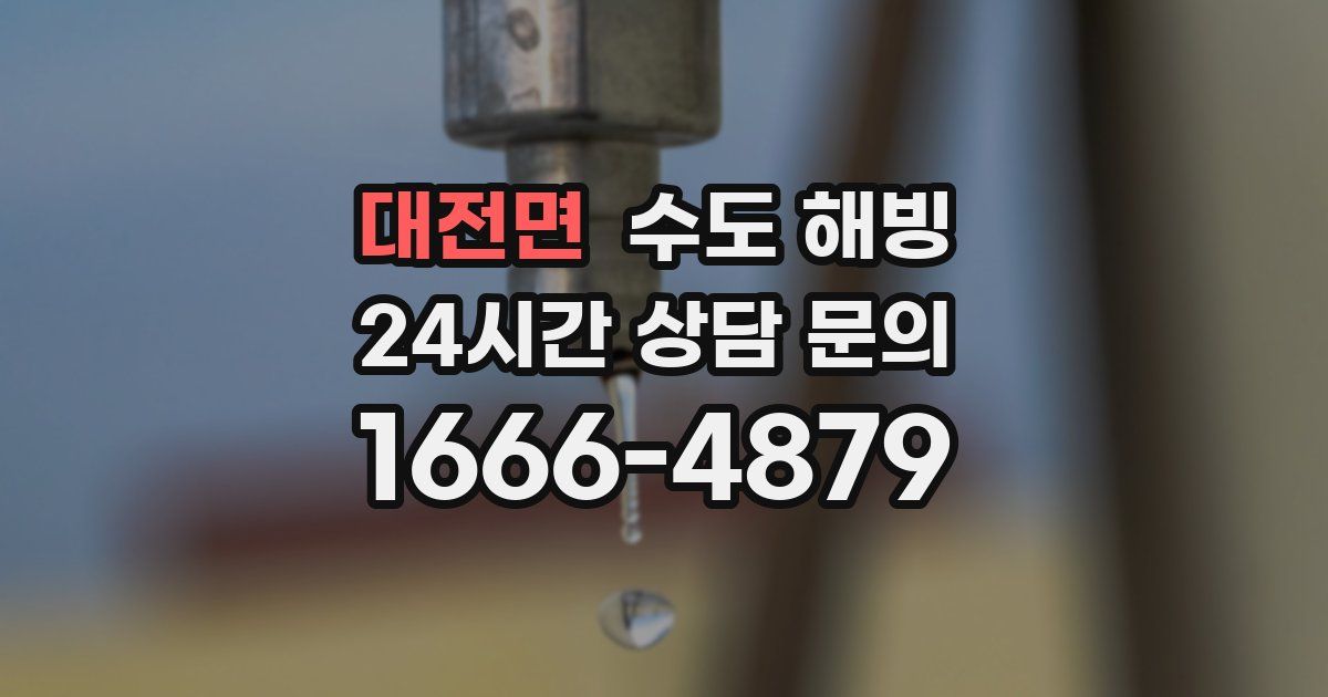 대전면 수도 해빙