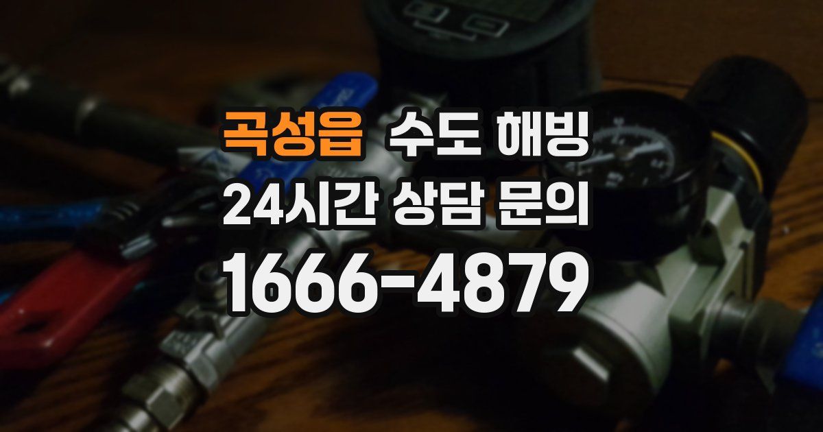 곡성읍 수도 해빙