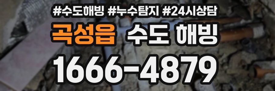 곡성읍 수도 해빙