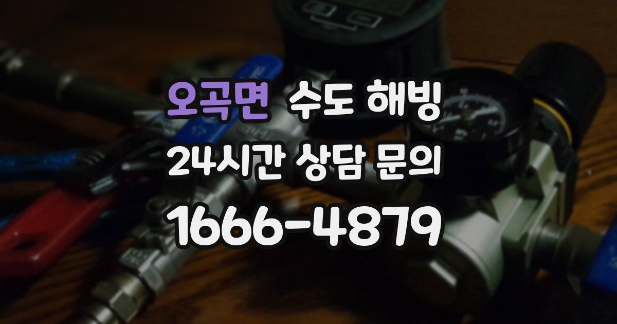 오곡면 수도 해빙