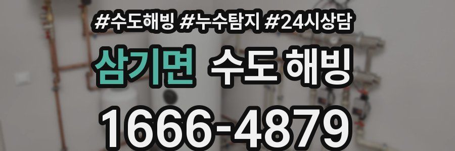 삼기면 수도 해빙