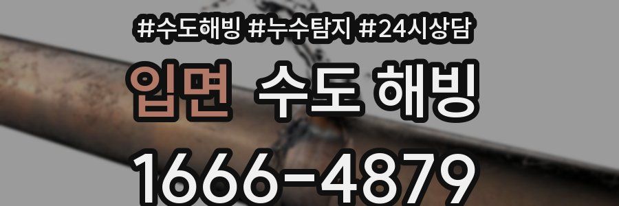 입면 수도 해빙
