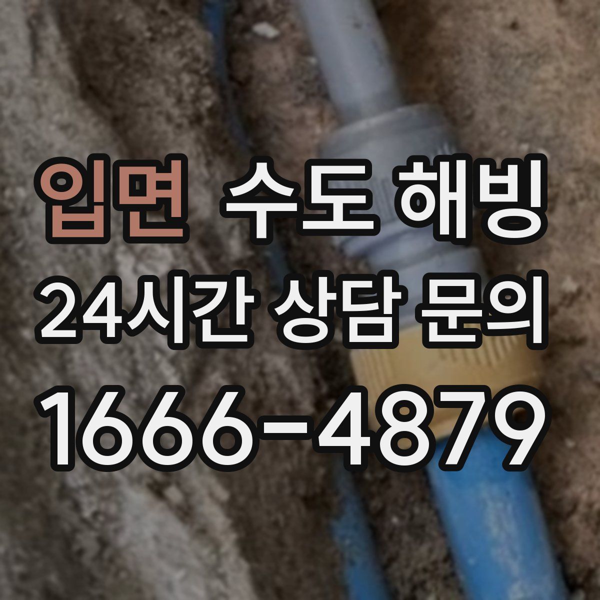 입면 수도 해빙