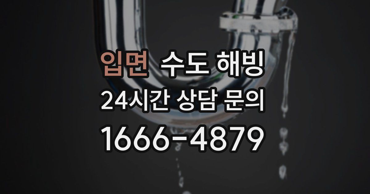 입면 수도 해빙