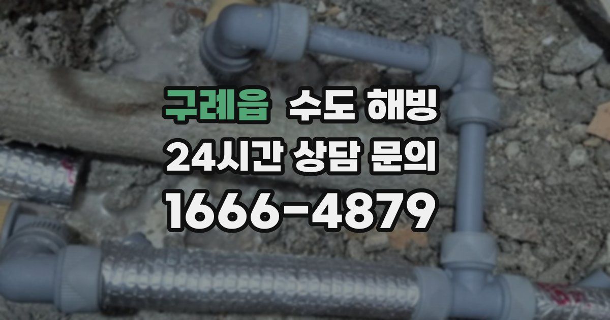 구례읍 수도 해빙