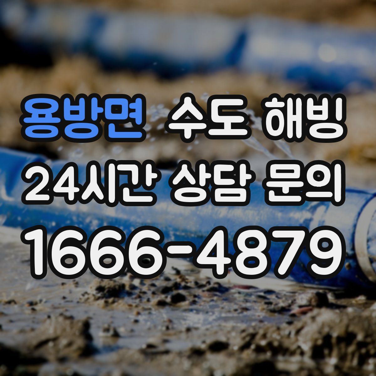 용방면 수도 해빙