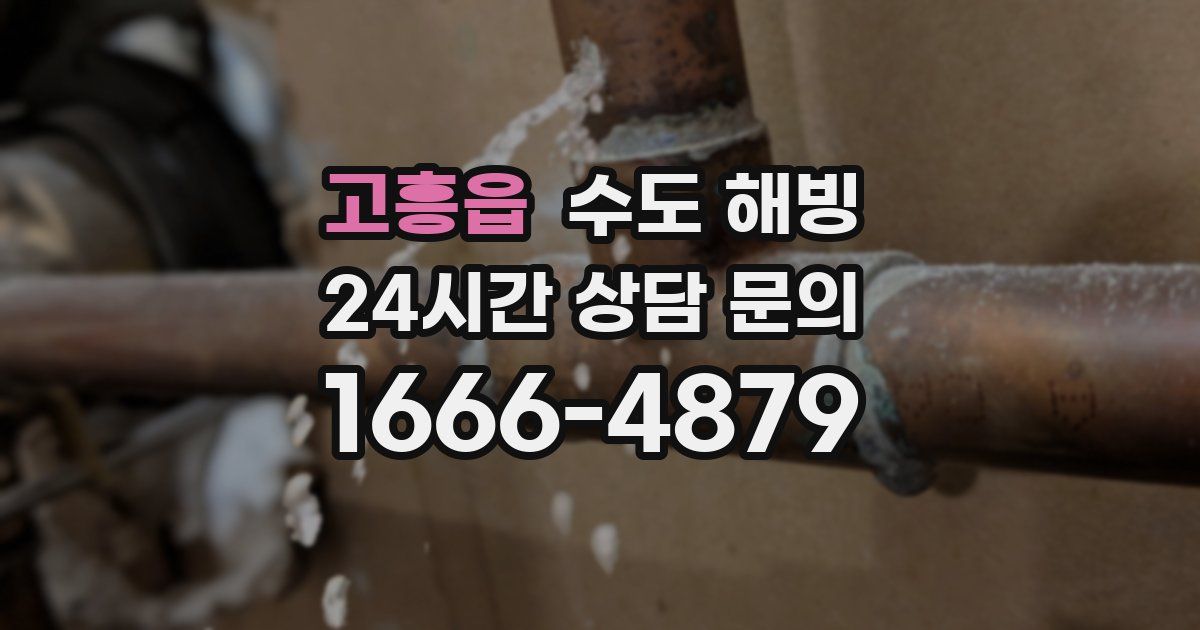 고흥읍 수도 해빙