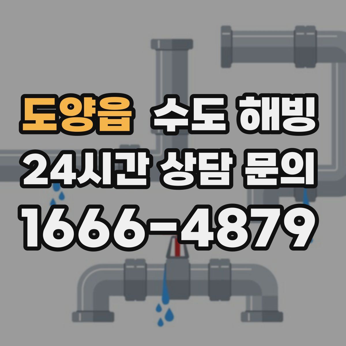 도양읍 수도 해빙