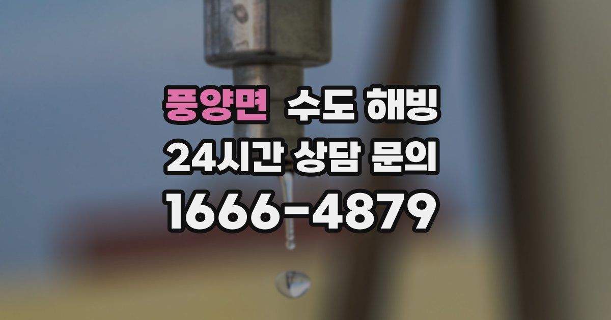 풍양면 수도 해빙