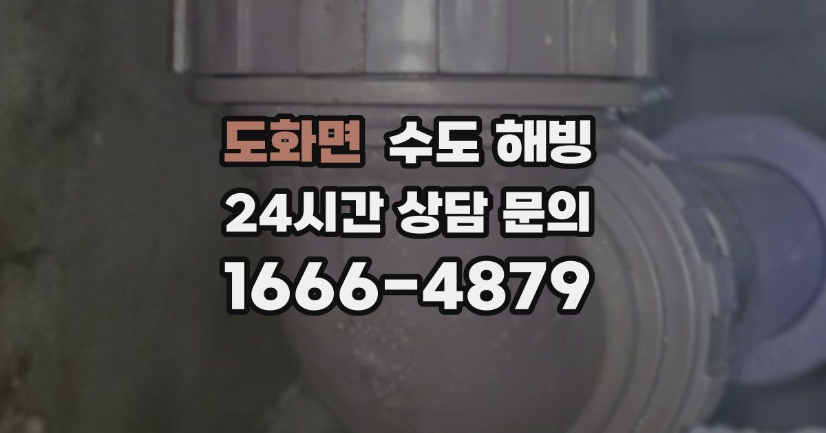 도화면 수도 해빙