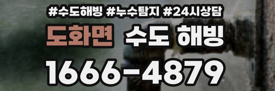 도화면 수도 해빙