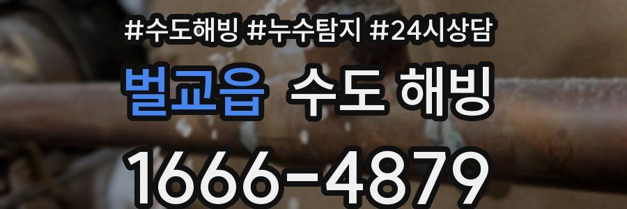 벌교읍 수도 해빙