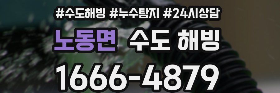 노동면 수도 해빙