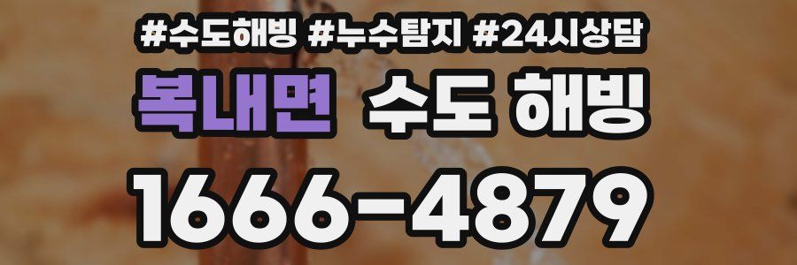 복내면 수도 해빙