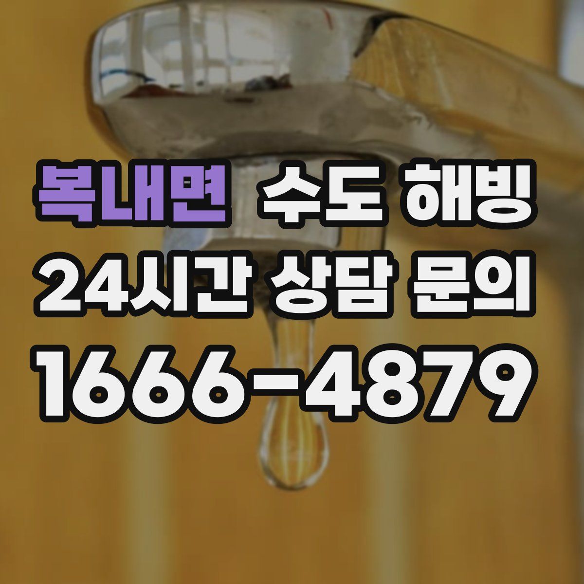 복내면 수도 해빙