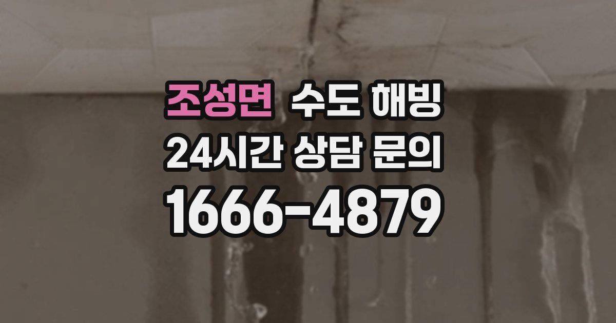 조성면 수도 해빙