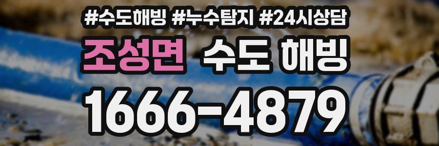 조성면 수도 해빙