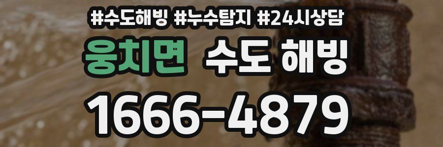 웅치면 수도 해빙