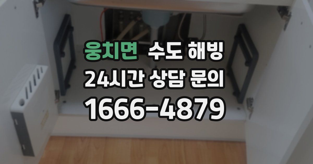 웅치면 수도 해빙