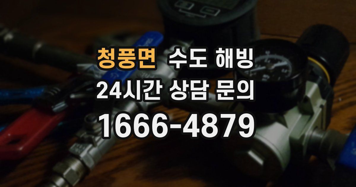 청풍면 수도 해빙