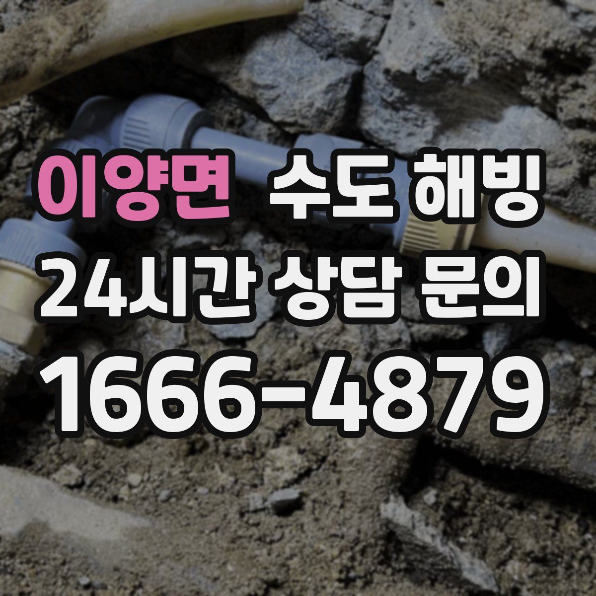 이양면 수도 해빙