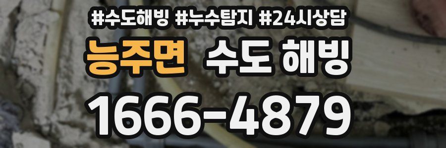 능주면 수도 해빙