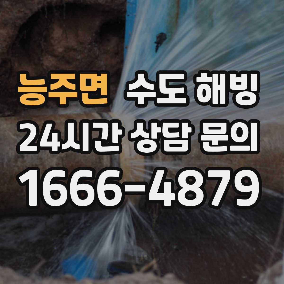 능주면 수도 해빙