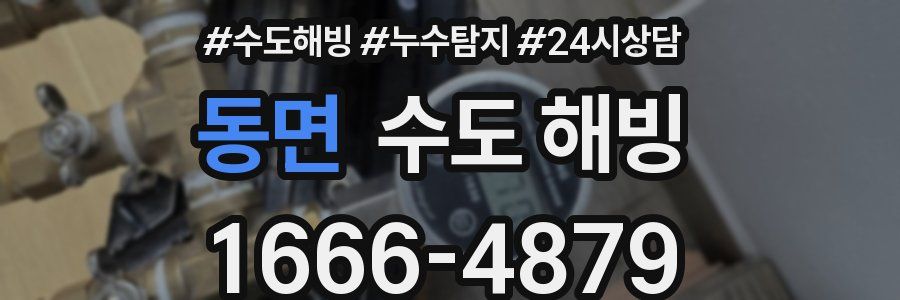 동면 수도 해빙