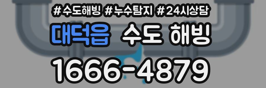 대덕읍 수도 해빙