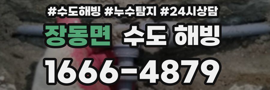 장동면 수도 해빙