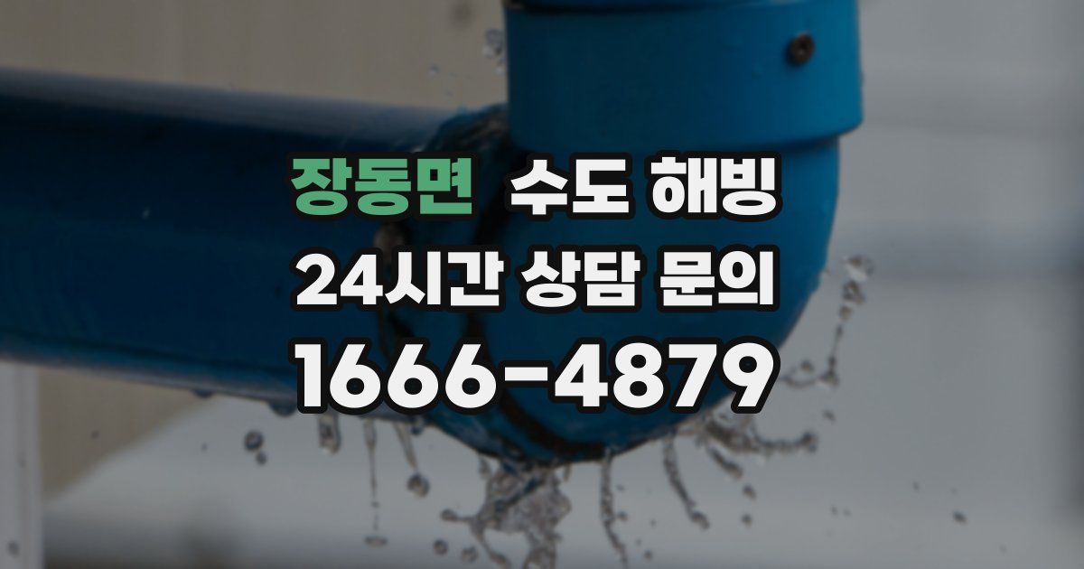 장동면 수도 해빙