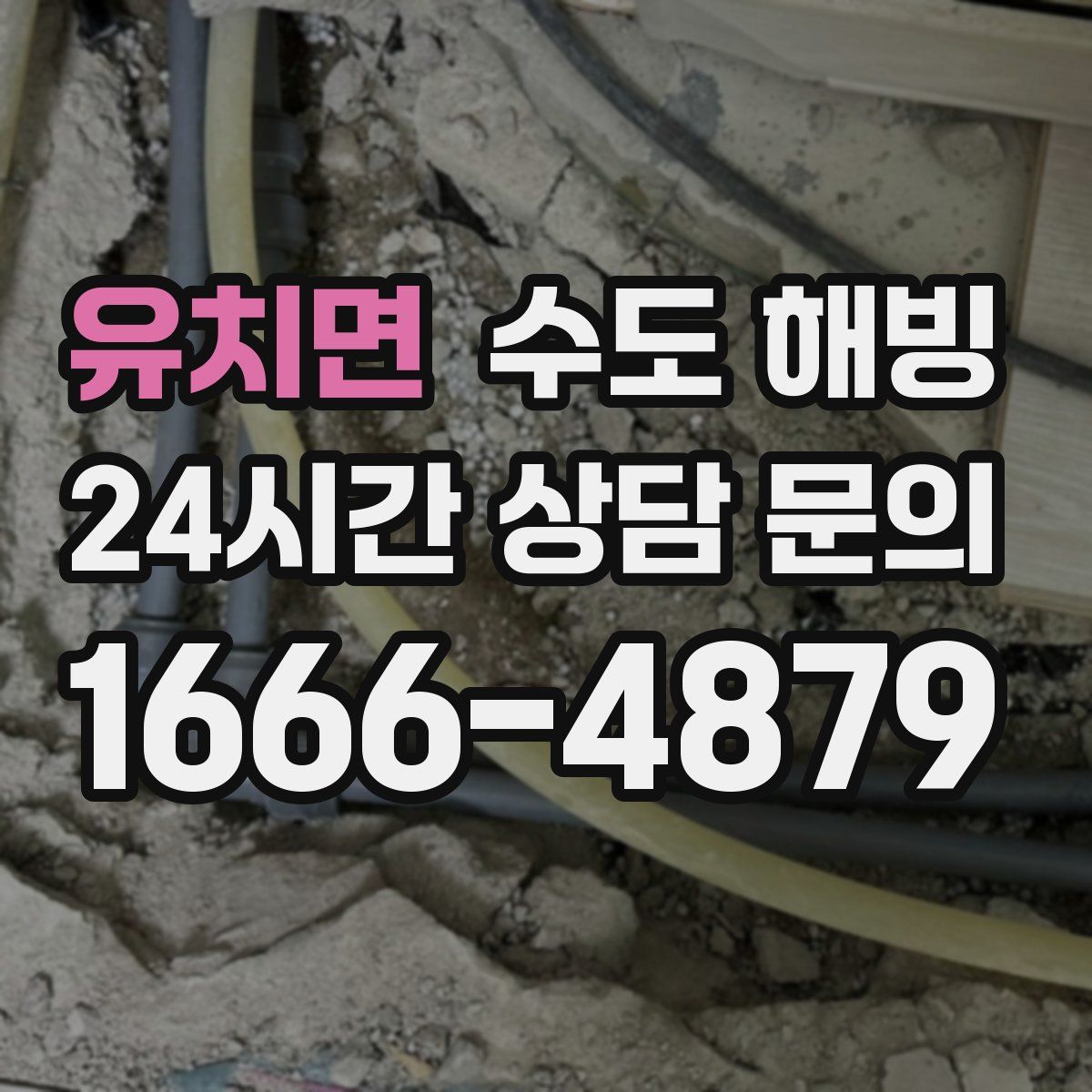 유치면 수도 해빙