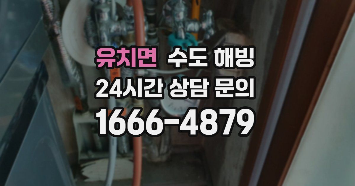 유치면 수도 해빙