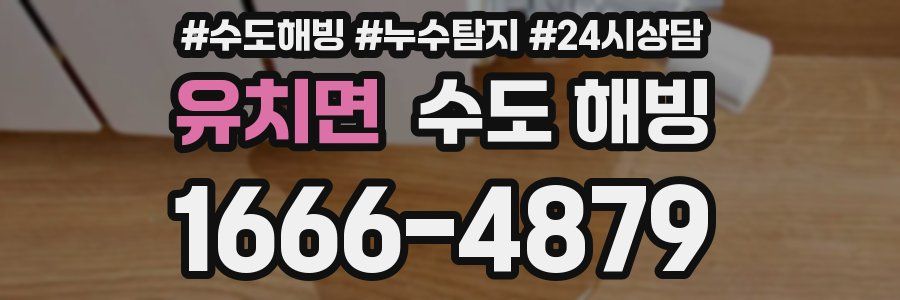 유치면 수도 해빙