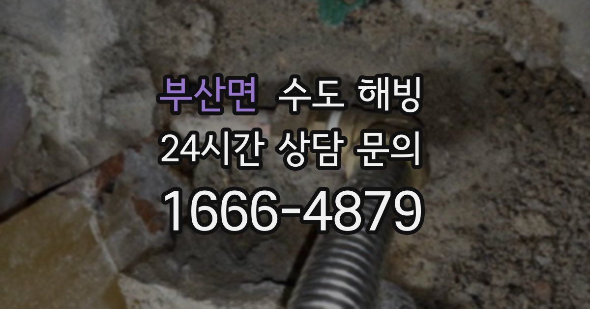 부산면 수도 해빙