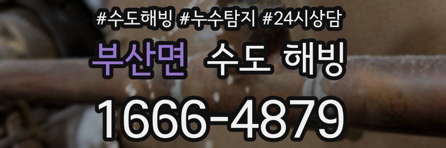 부산면 수도 해빙