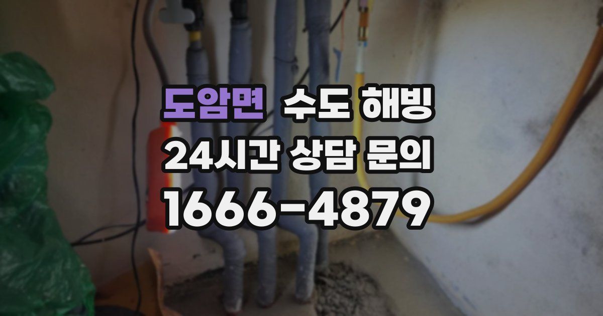 도암면 수도 해빙