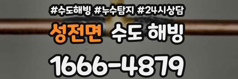 성전면 수도 해빙