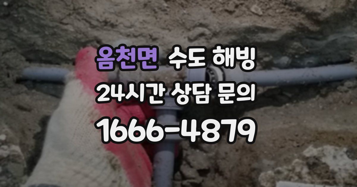 옴천면 수도 해빙