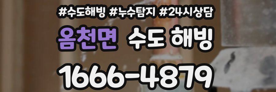 옴천면 수도 해빙