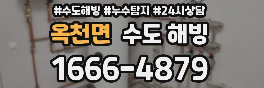 옥천면 수도 해빙